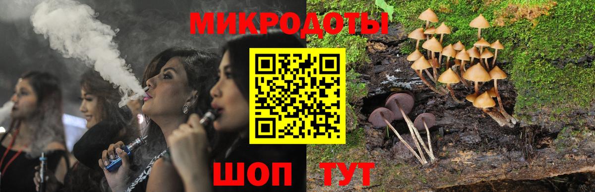 хочу наркоту  Галлюциногенные грибы Magic Shrooms  Вход с VPN  Сланцы 